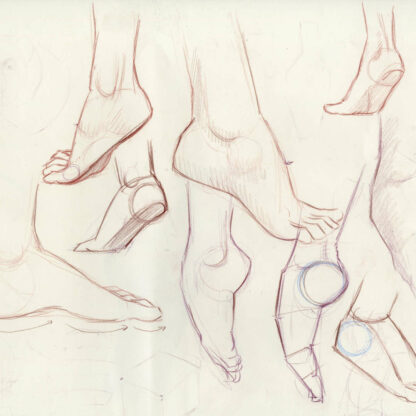 Drawing the Feet: from Blocks to Realistic Rendering