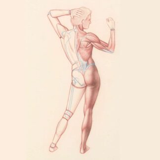Figure Anatomy Foundation #276
