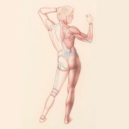 Figure Anatomy Foundation #276