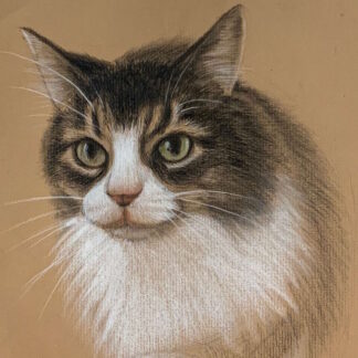 Drawing Pet Portraits II #291
